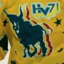 140x90-hv71-blue-bulls_6.jpg