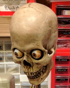 450x300-amazon-alexa-skull-project-yorick-mike-mcgurrin-1.jpg