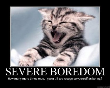 450x300-bored-cat.jpg