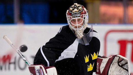 450x300-lindback.jpg