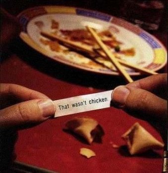 450x350-bad_fortune_cookie_bild.jpg