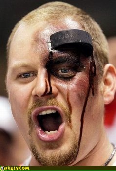 450x350-hockey_puck_in_head.jpg