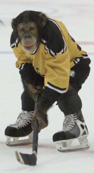 450x350-monkeyhockey.jpg