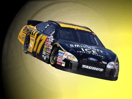 450x350-nascar.jpg