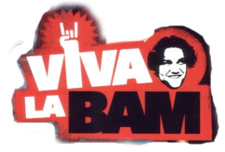 450x350-viva_la_bam.jpg