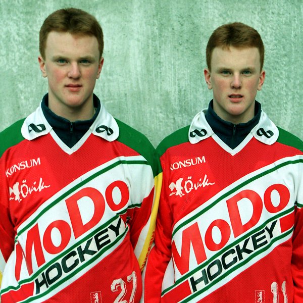 600x600-sedins.jpg